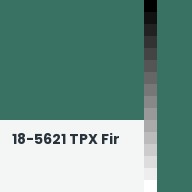 Color chip: 18-5621 TPX Fir
