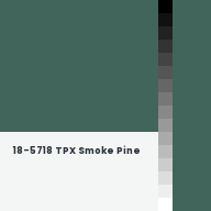 Color chip: 18-5718 TPX Smoke Pine