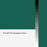 Color chip: 18-5725 TPX Galapagos Green