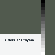 Color chip: 19-0309 TPX Thyme
