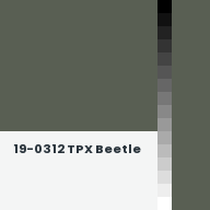 Color chip: 19-0312 TPX Beetle