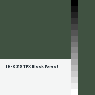 Color chip: 19-0315 TPX Black Forest