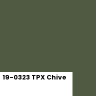 Color chip: 19-0323 TPX Chive