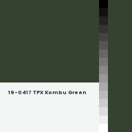 Color chip: 19-0417 TPX Kombu Green