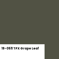 Color chip: 19-0511 TPX Grape Leaf