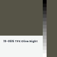 Color chip: 19-0515 TPX Olive Night