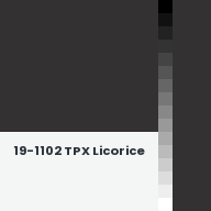 Color chip: 19-1102 TPX Licorice