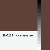 Color chip: 19-1235 TPX Brunette