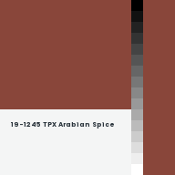 Color chip: 19-1245 TPX Arabian Spice