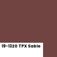 Color chip: 19-1320 TPX Sable