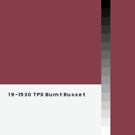 Color chip: 19-1530 TPX Burnt Russet