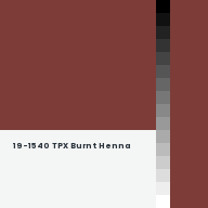 Color chip: 19-1540 TPX Burnt Henna