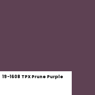 Color chip: 19-1608 TPX Prune Purple