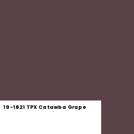 Color chip: 19-1621 TPX Catawba Grape
