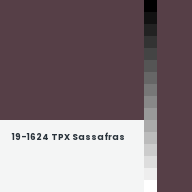 Color chip: 19-1624 TPX Sassafras