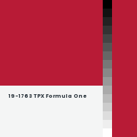 Color chip: 19-1763 TPX Formula One