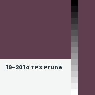 Color chip: 19-2014 TPX Prune
