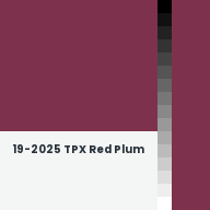 Color chip: 19-2025 TPX Red Plum