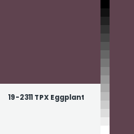 Color chip: 19-2311 TPX Eggplant