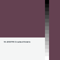 Color chip: 19-2312 TPX Crushed Violets