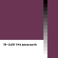 Color chip: 19-2410 TPX Amaranth