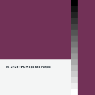 Color chip: 19-2428 TPX Magenta Purple