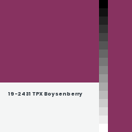 Color chip: 19-2431 TPX Boysenberry
