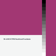 Color chip: 19-2434 TPX Festival Fuchsia
