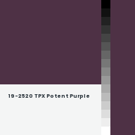 Color chip: 19-2520 TPX Potent Purple