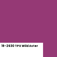 Color chip: 19-2630 TPX Wild Aster