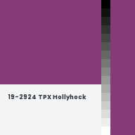 Color chip: 19-2924 TPX Hollyhock