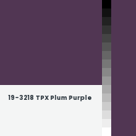 Color chip: 19-3218 TPX Plum Purple