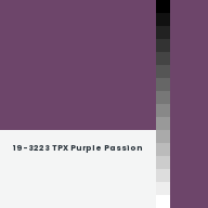 Color chip: 19-3223 TPX Purple Passion