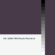 Color chip: 19-3316 TPX Plum Perfect