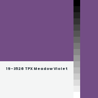 Color chip: 19-3526 TPX Meadow Violet