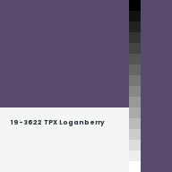 Color chip: 19-3622 TPX Loganberry