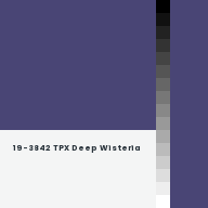 Color chip: 19-3842 TPX Deep Wisteria