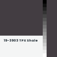Color chip: 19-3903 TPX Shale