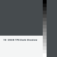 Color chip: 19-3906 TPX Dark Shadow
