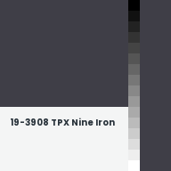 Color chip: 19-3908 TPX Nine Iron