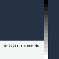 Color chip: 19-3921 TPX Black Iris