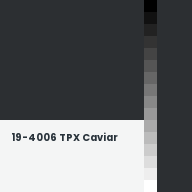 Color chip: 19-4006 TPX Caviar