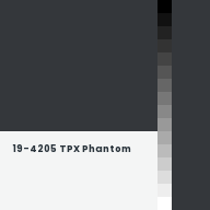 Color chip: 19-4205 TPX Phantom