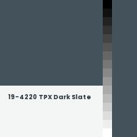 Color chip: 19-4220 TPX Dark Slate