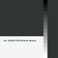 Color chip: 19-4305 TPX Pirate Black