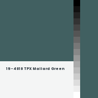 Color chip: 19-4818 TPX Mallard Green
