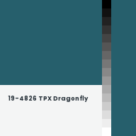 Color chip: 19-4826 TPX Dragonfly