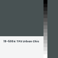 Color chip: 19-5004 TPX Urban Chic
