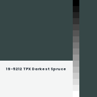 Color chip: 19-5212 TPX Darkest Spruce