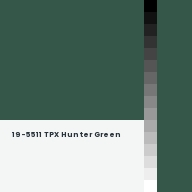 Color chip: 19-5511 TPX Hunter Green
